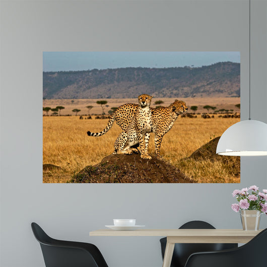 Cheetah brother Wall Decal