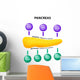 Pancreas Secretory Function Wall Decal