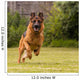 Schaeferhund laeuft Wall Decal