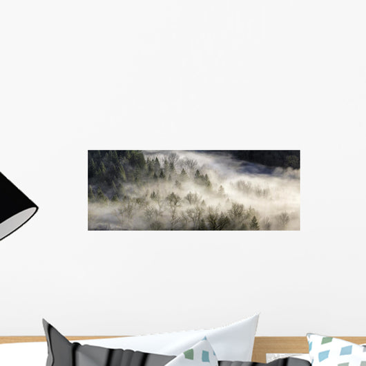 Fog Rolling Over Forest in Oregon Wall Decal
