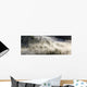 Fog Rolling Over Forest in Oregon Wall Decal