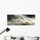 Fog Rolling Over Forest in Oregon Wall Decal