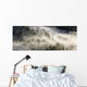 Fog Rolling Over Forest in Oregon Wall Decal