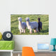 Alpaca Portrait Wall Decal