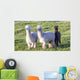 Alpaca Portrait Wall Decal