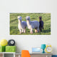 Alpaca Portrait Wall Decal