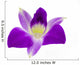 Purple orchid Wall Decal