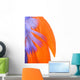 Colorful Feathers Closeup - Orange Wall Decal