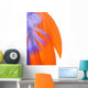 Colorful Feathers Closeup - Orange Wall Decal
