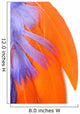 Colorful Feathers Closeup - Orange Wall Decal