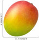 Mango Wall Decal