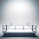 Empty white boxing ring. Wall Decal