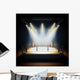 Empty professional boxing ring. Wall Decal