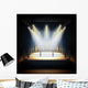 Empty professional boxing ring. Wall Decal