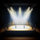 Empty professional boxing ring. Wall Decal