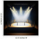 Empty professional boxing ring. Wall Decal