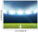 Stadium And Soccer Pitch Wall Decal