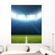 Stadium And Soccer Pitch Wall Decal