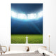 Stadium And Soccer Pitch Wall Decal