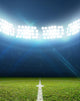 Stadium And Soccer Pitch Wall Decal