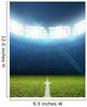 Stadium And Soccer Pitch Wall Decal