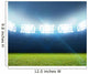 Generic Floodlit Stadium Wall Decal