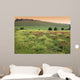 Tuscan Landscape Wall Decal