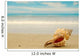 Conch shell on beach Wall Decal