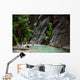 Canyoneering in the Narrows, Zion Canyon Wall Decal