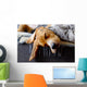 Sleeping Beagle Wall Decal