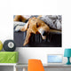 Sleeping Beagle Wall Decal