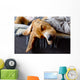 Sleeping Beagle Wall Decal