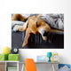 Sleeping Beagle Wall Decal