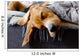 Sleeping Beagle Wall Decal