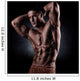 a young and fit male model posing his muscles Wall Decal