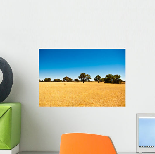 Deserto del Kalahari, Botswana, Africa Wall Decal