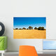 Deserto del Kalahari, Botswana, Africa Wall Decal