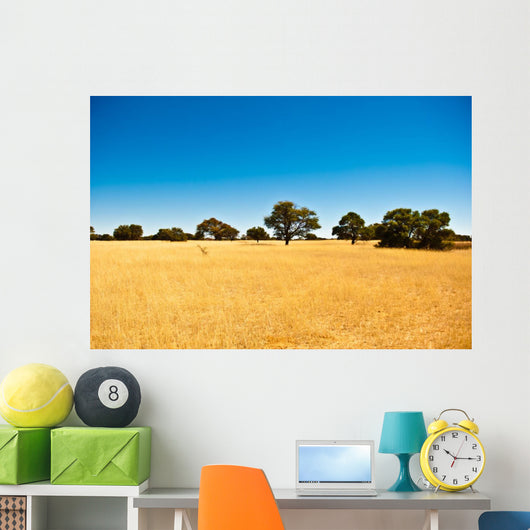 Deserto del Kalahari, Botswana, Africa Wall Decal