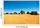 Deserto del Kalahari, Botswana, Africa Wall Decal