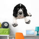 English springer spaniel puppy Wall Decal
