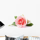 pink rose flower on white background Wall Decal