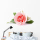 pink rose flower on white background Wall Decal