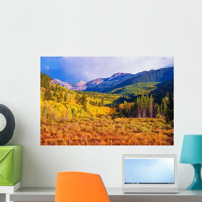 Scenic Aspen Landscape Wall Decal shown on a wall