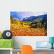 Scenic Aspen Lanscape Wall Decal