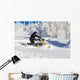 Athlete on a snowmobile Wall Decal