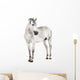 Andalusian Horse Wall Decal