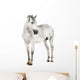 Andalusian Horse Wall Decal