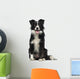 Border Collie 2 Years Wall Decal