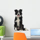 Border Collie 2 Years Wall Decal