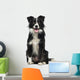 Border Collie 2 Years Wall Decal